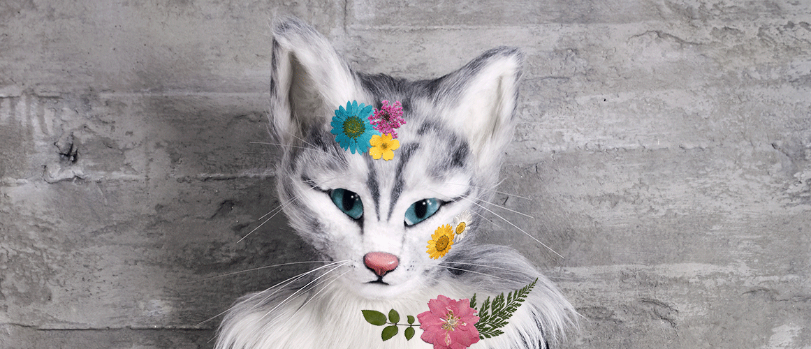 Auf dem Bild ist Katzenlady Pheline zu sehen. Sie trägt den neusten Beauty-Trend: getrocknete Blumen im Gesicht!