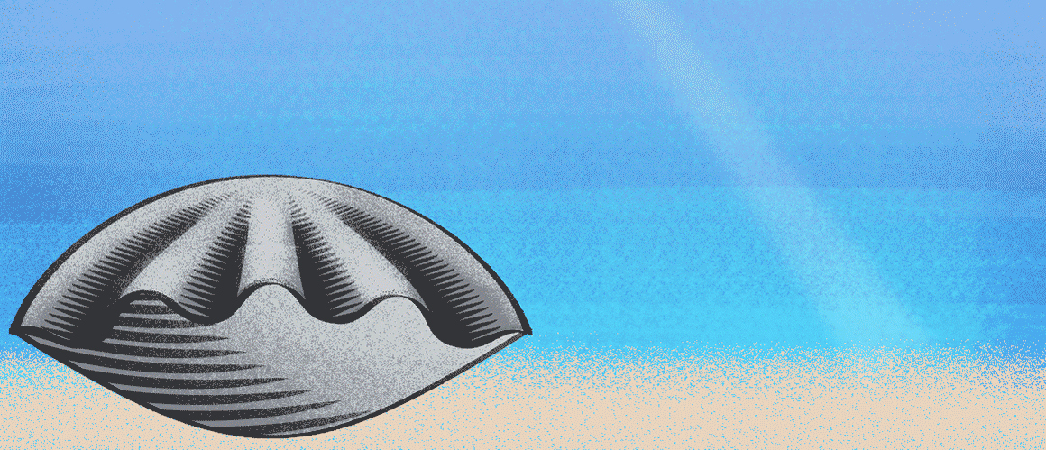 Auf der animierten Illustration öffnet sich auf dem Meeresgrund eine Muschel und eine Perle rollt heraus.