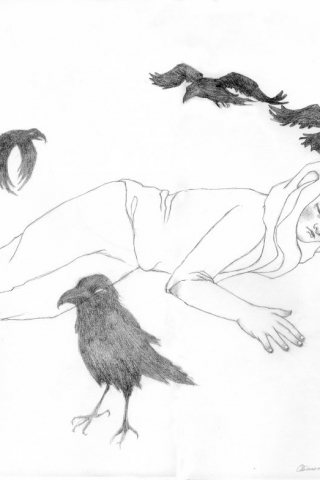 Hier handelt es sich um eine Zeichnung der Künstlerin Clémentine de Chabaneix. Ein Mädchen mit einem Gipsfuß liegt am Boden und ist umringt von Krähen.